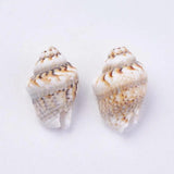 500g Natural Shell Loose Beads for Jewelry Making