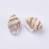 500g Natural Shell Loose Beads for Jewelry Making