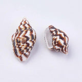 500g Natural Shell Loose Beads for Jewelry Making