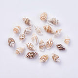 500g Natural Shell Loose Beads for Jewelry Making
