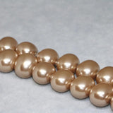 Champagne Shell Pearl Oval Top Beads 15inch