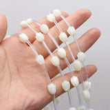 Natural Shell Buds DIY Jewelry Necklace Bracelet Size 8x10mm 15 Pcs
