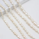 Grey Freshwater Pearl Beads for Jewelry Making