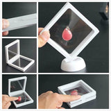 Jewelry Pendant Display Stand Holder Box with PET Membrane