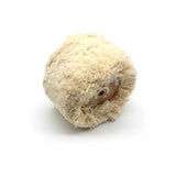 Wood Core Cotton Thread Jewelry Wheel Mirror Polishing Accessory