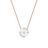 LR Silver Rose Generous Floating Disc Diamond Necklace