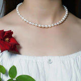 Freshwater Pearl Choker Necklace with 925 Silver Clasp