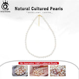 925 Silver Pearl Choker Necklace Freshwater Pearl Chain for Women Jewelry
