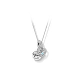 S925 December Birthstone Pendant with Cola Base Necklace