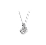 S925 December Birthstone Pendant with Cola Base Necklace