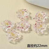 DIY South Korea INS Spring Transparent Stereo Flower Real Flowers Resin Earrings