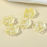 DIY South Korea INS Spring Transparent Stereo Flower Real Flowers Resin Earrings