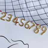 Alloy Plating Earrings 1-9 Material Accessories