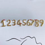 Alloy Plating Earrings 1-9 Material Accessories