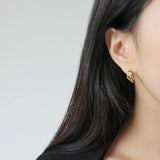 SHANICE 925 Silver Hoop Earrings Fine Jewelry INS Multi-layer Three Circles