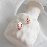 S925 Zircon Pearl Shell Crystal Sweet Earrings