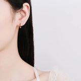 S925 Silver Classic Hoop Earrings Small Circle Hip Hop Jewelry