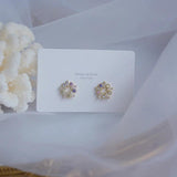 Micro Inlaid Cubic Zircon Earrings Romantic Jewelry