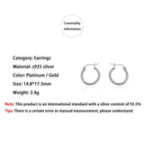 925 Silver Twist Ear Hook Earrings Women's Jewelry