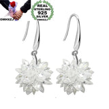 Zircon 925 Sterling Silver Drop Earrings for Wedding Gift
