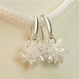 Zircon 925 Sterling Silver Drop Earrings for Wedding Gift