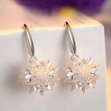 Zircon 925 Sterling Silver Drop Earrings for Wedding Gift
