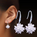 Zircon 925 Sterling Silver Drop Earrings for Wedding Gift