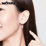 Zircon Drop Earrings 925 Silver Wedding Jewelry