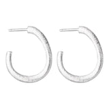 S925 Silver Irregular Stud Earrings for Women