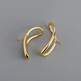 Geometric Irregular Lines S925 Sterling Silver Earrings Accessories