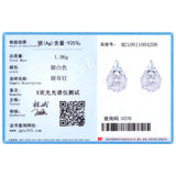 Zircon Water Drop 925 Silver Stud Earrings