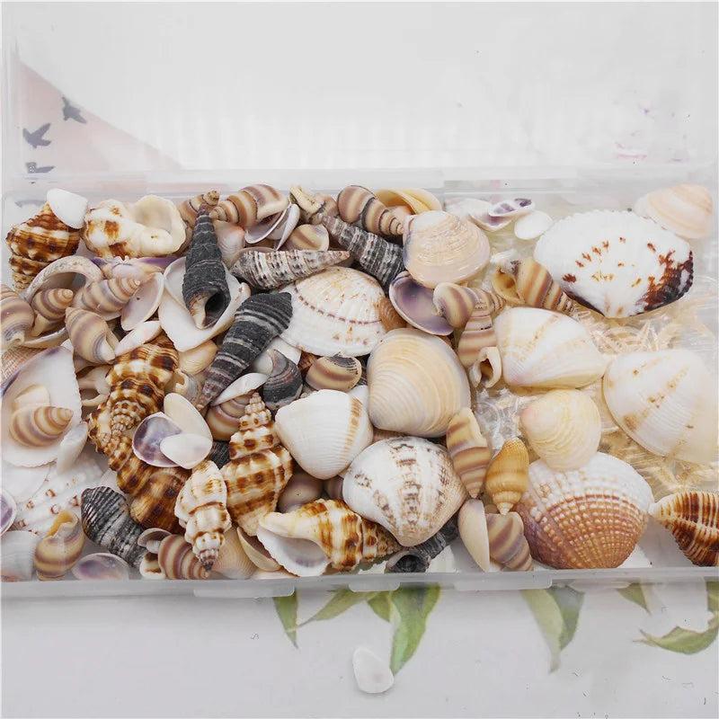 200PCS Natural Shell Conch Starfish Charms For Decoration DIY Jewelry