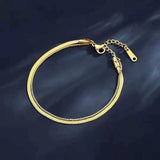 Two-layer Snake Chain Anklet Stainless Steel Beach Bracelet
