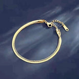 Two-layer Snake Chain Anklet Stainless Steel Beach Bracelet