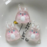 10Pcs Chinese Zodiac Animals Charms Clear DIY Jewelry Making
