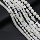 Natural Freshwater Shell Beads Spacer Beads for Jewelry Making DIY