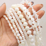Natural Freshwater Shell Beads Spacer Beads for Jewelry Making DIY