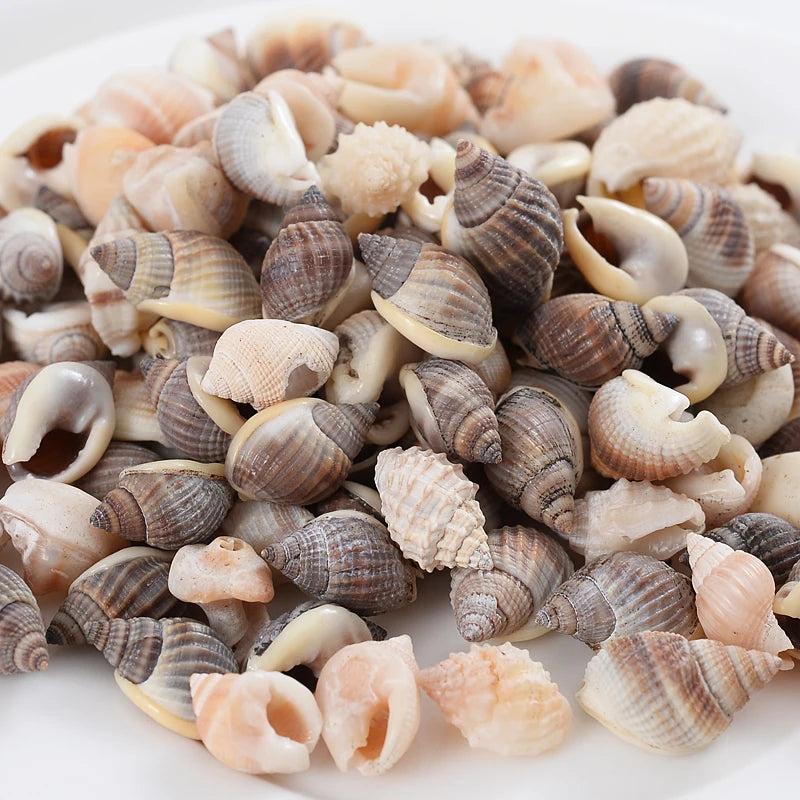 Small Sea Snail Shell Beads 20/40/60g 8 Colors for Jewelry Making