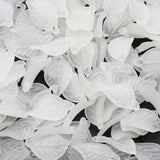 Acrylic Leaf Pendants 18x11mm for Jewelry Making DIY