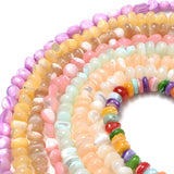 Irregular Shell Beads Mix Spacer Beads 6-8mm for Jewelry Making