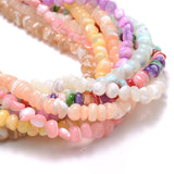Irregular Shell Beads Mix Spacer Beads 6-8mm for Jewelry Making