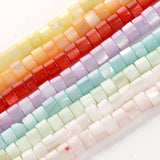 Shell Beads Cylinder Mother of Pearl Loose Spacer Beaded 4mm 125pcs