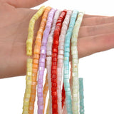 Shell Beads Cylinder Mother of Pearl Loose Spacer Beaded 4mm 125pcs
