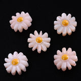 5pcs Natural Pearl Shell Sunflower Daisy Charms Loose Beads for Jewelry Making