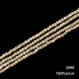 Mother Of Pearl Trochus Top Shell Beads 2-6 MM Stone Beige for Jewelry Making