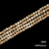 Mother Of Pearl Trochus Top Shell Beads 2-6 MM Stone Beige for Jewelry Making
