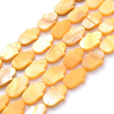 Multicolor Palm Shell Beads Natural Shell Hamsa Spacer Beads