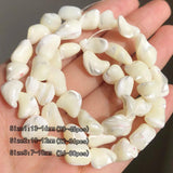 Mother of Pearl Shell Beads for Jewelry Making