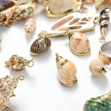 5pcs Natural Conch Shell Charms Pendant for DIY Jewelry Making