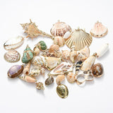 5pcs Natural Conch Shell Charms Pendant for DIY Jewelry Making
